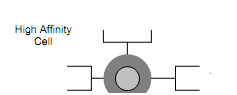 1433_Role of Antibodies in Artificial immune systems.png